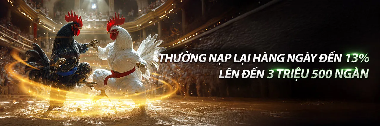 Trực tiếp Đá Gà PC1 kịch tính tại aa888